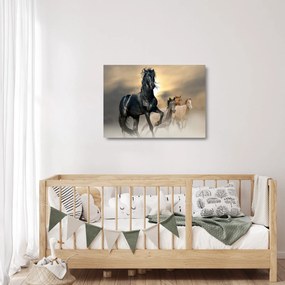 Obraz na szkle - Konie (70x50 cm)