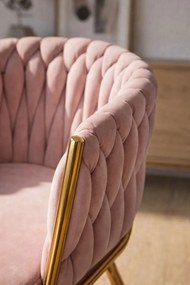 Krzeso Widny Golden Velvet