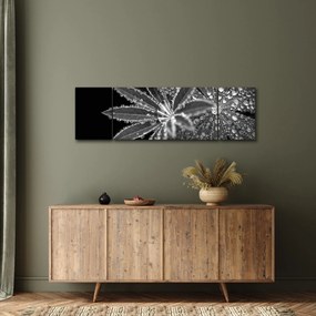 Obraz - Krople (170x50 cm)