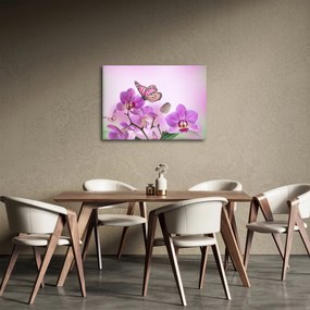 Obraz - Motyl na kwiatach orchidei, liliowy (70x50 cm)