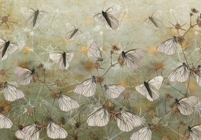 Fototapeta - Vintage motyle (196x136 cm)