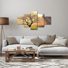 Obraz drzewa na łące (125x70 cm)