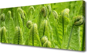 Obraz canvas Świeżość Zielonych Liści