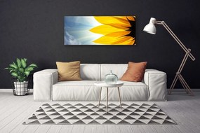 Obraz na płótnie Delikatne Płatki Kwiatowe