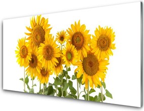 Panel Kuchenny Złociste Słoneczniki W Polu