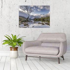 Obraz rzeki z drzewem (70x50 cm)