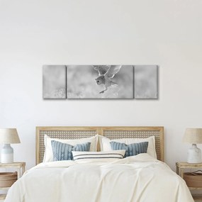 Obraz - Sowa, czarno - biały (170x50 cm)