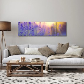 Obraz - Lawenda (170x50 cm)