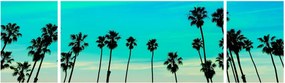 Obraz - Kalifornia (170x50 cm)