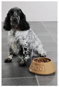 Kamionkowa miska dla psa Mason Cash Pet Cane Dog, ø 21 cm