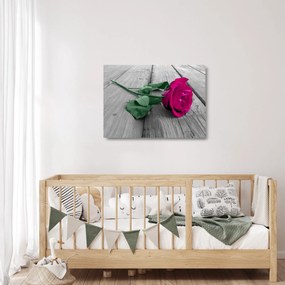 Obraz na szkle - Różowa róża z zieloną łodygą (70x50 cm)