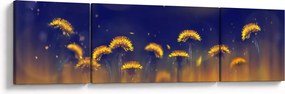 Obraz - Dmuchawce (170x50 cm)