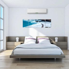 Obraz - głuptak niebieskonogi (170x50 cm)