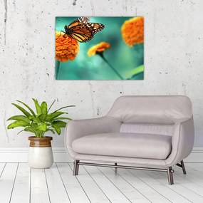 Obraz na szkle motyla (70x50 cm)