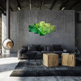 Obraz - Biedronka (125x70 cm)