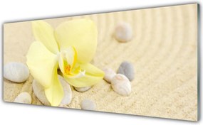 Panel Szklany do Kuchni Klasyczna Elegancja Kwiatów