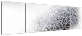 Obraz - Zimowa aleja (170x50 cm)