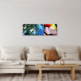 Obraz - Papuga (z zegarem) (90x30 cm)