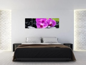 Obraz - Storczyki (170x50 cm)