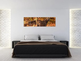 Obraz zebr (170x50 cm)