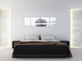 Obraz - Było biało (170x50 cm)