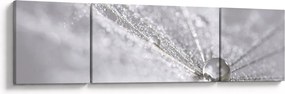 Obraz - Kropla wody (170x50 cm)