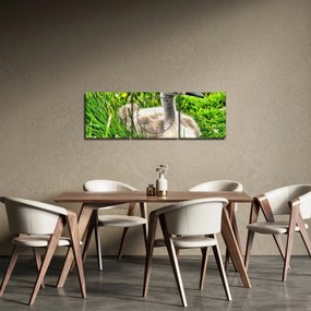 Obraz - mały łabędź w trawie (z zegarem) (90x30 cm)