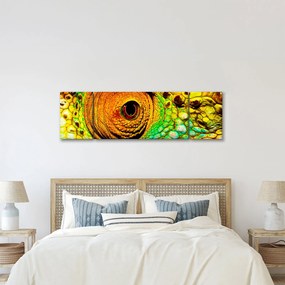 Obraz - Kameleon (170x50 cm)