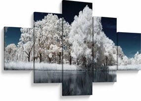 Obraz - Śnieżnobiałe drzewa (125x70 cm)