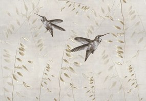 Fototapeta - Kolibry, wektor (196x136 cm)