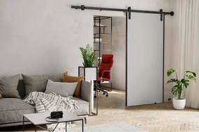 Emporius Drzwi przesuwne 70 cm Ares - drzwi naścienne z systemem regulowanym oraz samodomykaczem - Biały