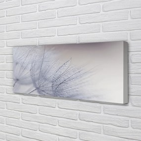 Duży obraz na płótnie Dmuchawce w Porannej Rosie