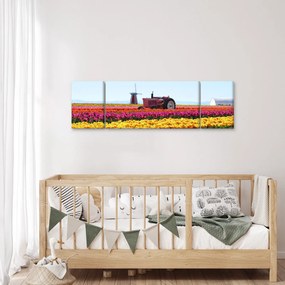 Obraz farmy tulipanów (170x50 cm)