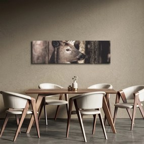 Obraz - Jeleń w lesie (170x50 cm)