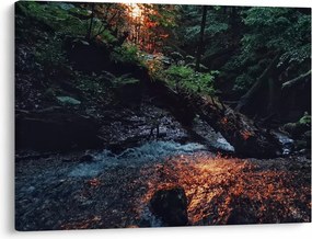 Obraz górskiej rzeki (70x50 cm)
