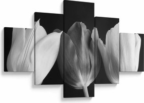 Obraz - Czarno - białe kwiaty tulipanów (125x70 cm)