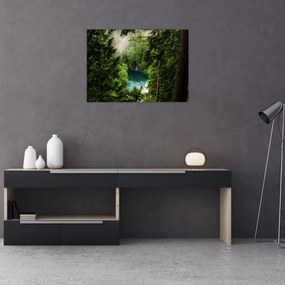 Obraz na szkle - Przestrzeń między drzewami (70x50 cm)
