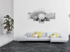 Obraz - Niedźwiedzie polarne (125x70 cm)