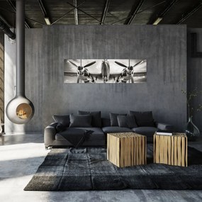 Obraz - Warbird (170x50 cm)