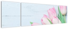 Zdjęcie - Bukiet tulipanów (170x50 cm)