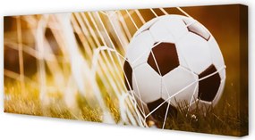 Obraz na płótnie Kontrastowy Futbol Na Murawie