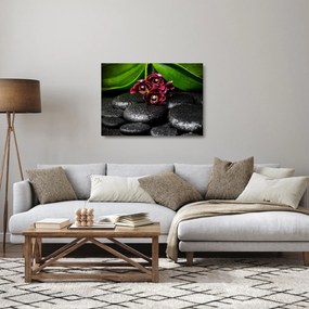 Obraz na szkle - Kamienie lawy (70x50 cm)