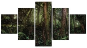 Obraz - Tajemniczy las (125x70 cm)