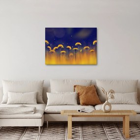Obraz - Dmuchawce (70x50 cm)