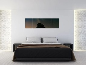 Obraz nocnego nieba z drzewami (170x50 cm)
