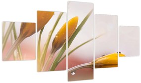 Obraz - Wiosenne kwiaty (125x70 cm)