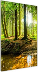 Foto obraz szklany pionowy Strumień w lasie