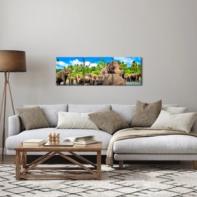 Obraz - Słonie, Sri Lanka (z zegarem) (90x30 cm)