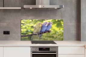 Panel Szklany Tropikalna Para na Drzewie