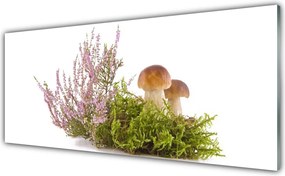 Panel Szklany do Kuchni Skarby Leśnego Poszycia